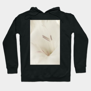 Pure Pleasure Hoodie